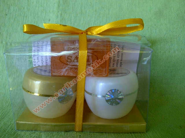 Cream Sari Pedan-20121125-00188