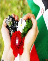 الأردن في القلب | Jordan in the heart - صفحة 8 316285_10150369064610893_701555892_8202380_403145395_n