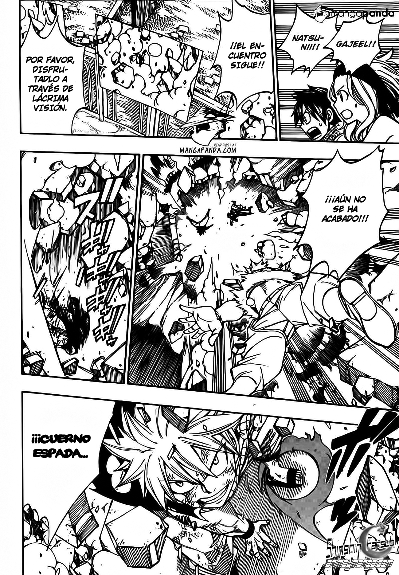 Fairy Tail Capitulo 295 13