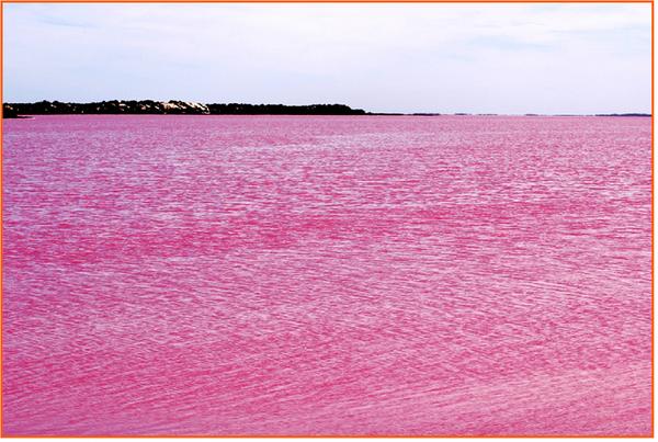 البحيرة الوردية "استراليا" 118W__Australia_Pink_lake