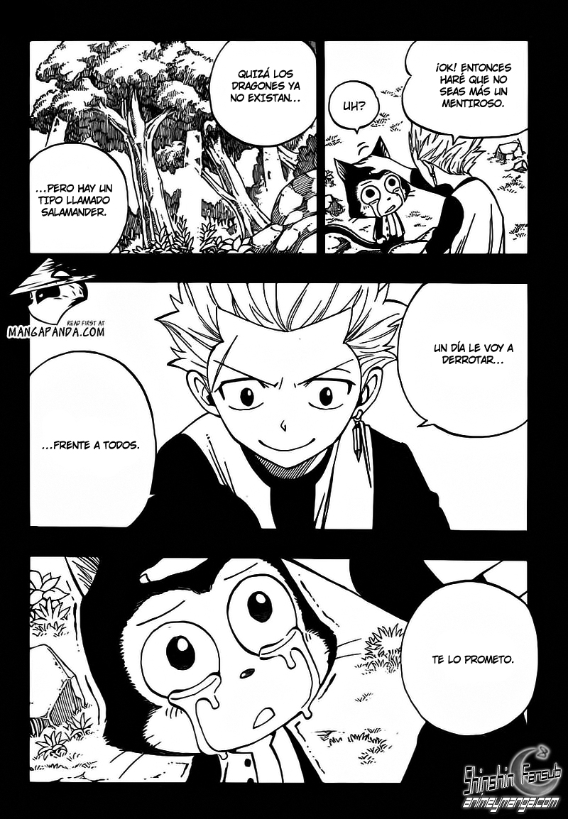 Fairy Tail Capitulo 295 21