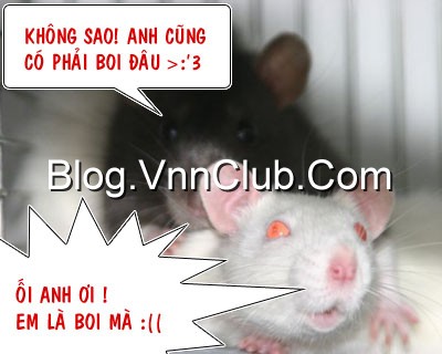 ảnh hài nha bà con!! 2333683393_1b78c709b0_o