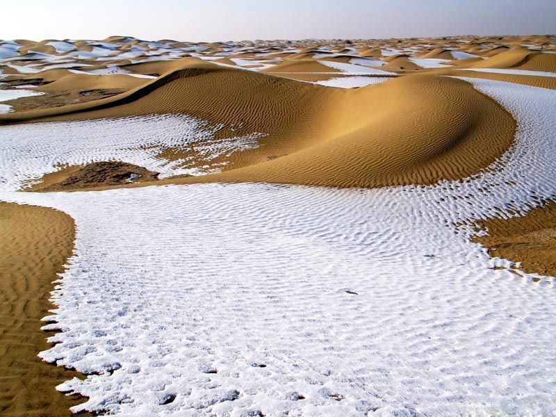 15 Amazing Photos Of The Desert  Pustinya-0014