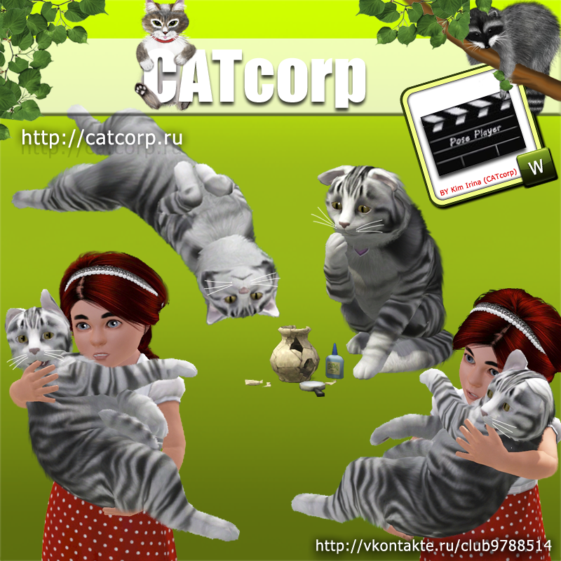 CAT corporation Catposes2