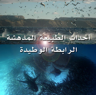 احداث الطبيه المدهشه "الرابطه الوطيده " Naturegreateentstide