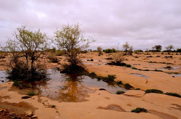 Kuldhara el misterioso pueblo donde desaparecieron sus más de 1500 habitantes India10