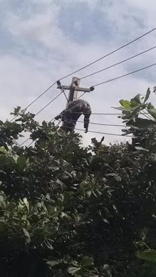 PHCN Official Electrocuted On A Pole At Police College In Lagos Nepa1