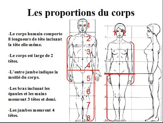 Proportions : Science figée ou interprétation libre ? Dessiner-peindre-corps-humain-proportions-par-L-3