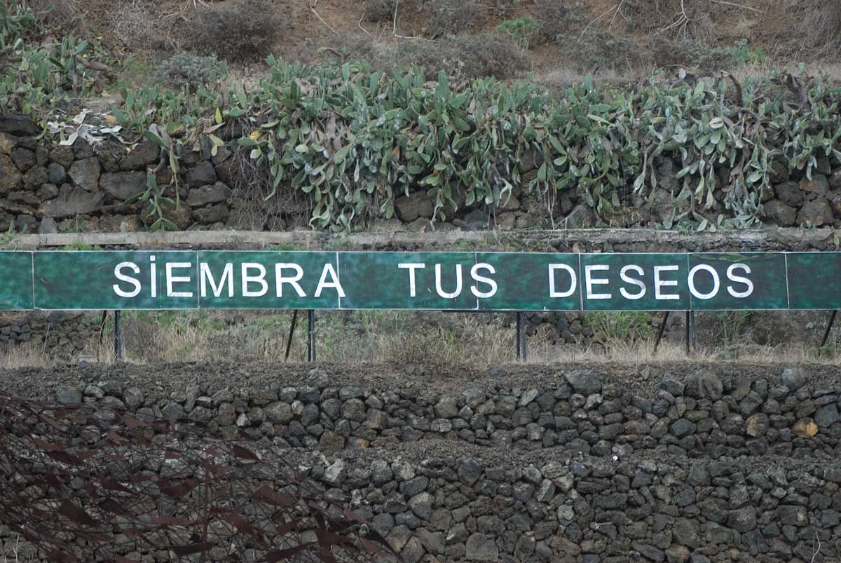 LA FRASE DE LA AUTOPISTA... Siembra-tus-sue%25C3%25B1os