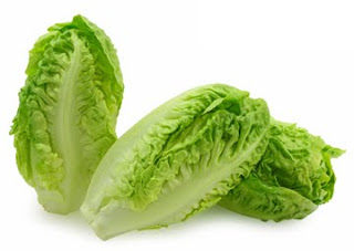 الخس لتقوية العظام و تسكين الألام….. Lettuce