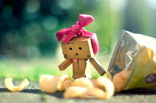 صور دانبو Danbo*رجل الكرتون* من تجميعي,, 205652_199552266751333_100000896847215_506238_1226640_n