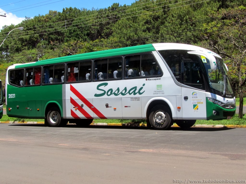 Piadas de mal gosto do Brasil...  Dssossai2021