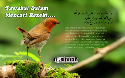 Doa-Doa Melancarkan Rezeki Dalam Al-Qur’an dan Hadits Tawakal-dlm-rezeki