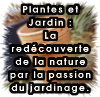 Un blog à propos du jardin et des plantes, pour redécouvrir la Nature et aussi sur le partage des connaissances sur le jardinage.