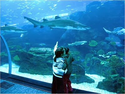 Oceanário Aquario_de_dubai