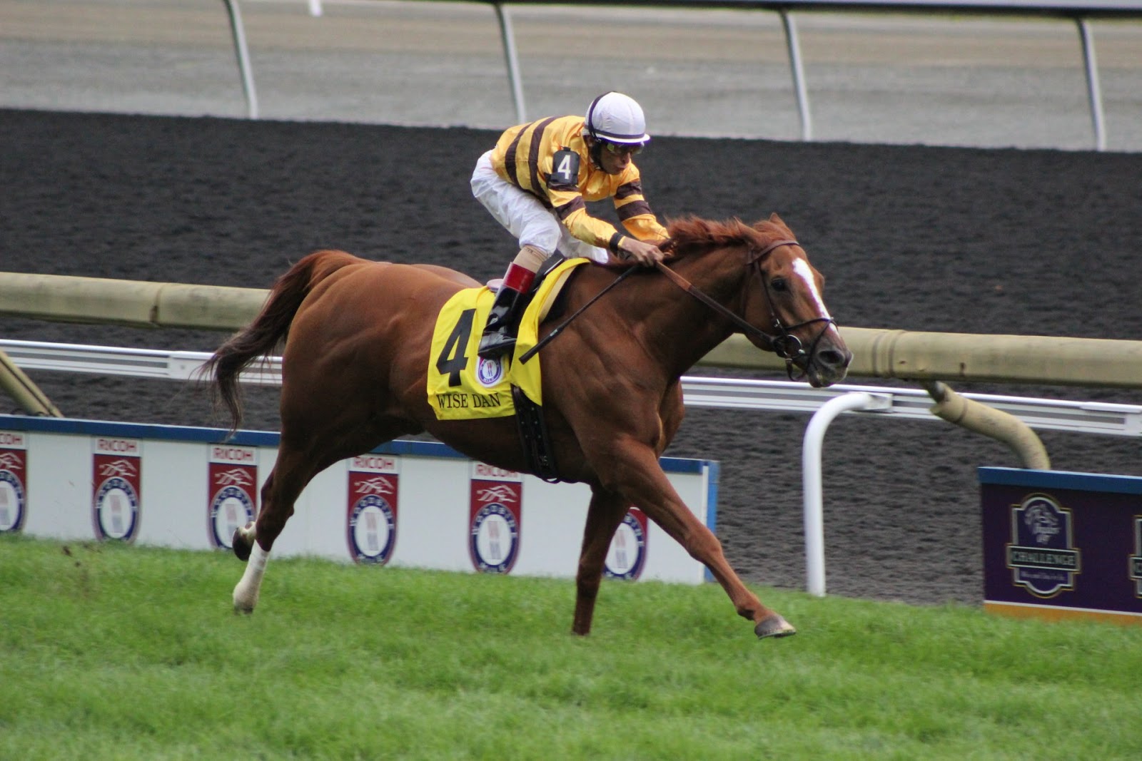 Eclipse Award 2013 Woodbine_Mile_2013%2B(273)