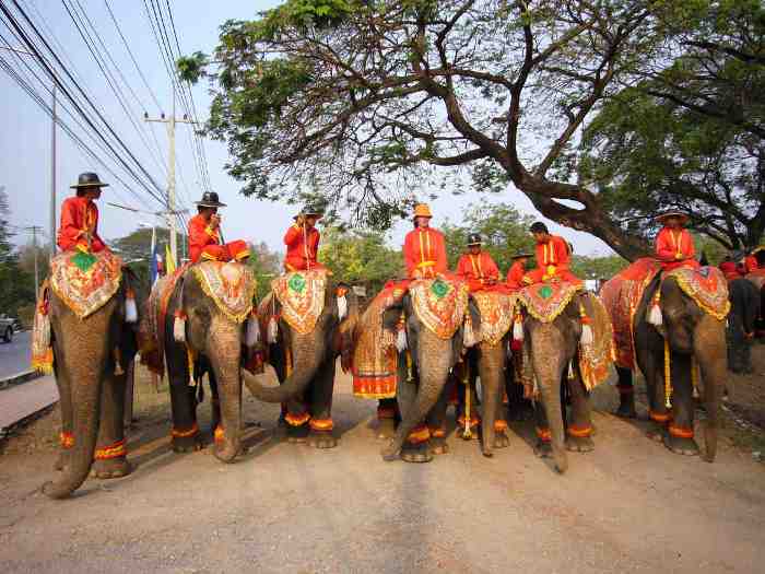 يوم الفيل التايلاندي The Elephant Day. Thailand%2BElephant%2BDay%2BPhotos%2B%25282%2529