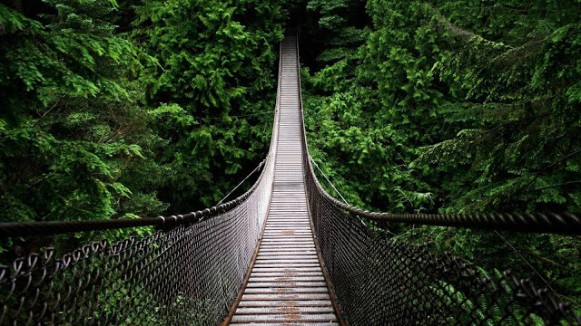 Ponte do Abismo Forests--bridges--natural-scenery-hd-wallpaper-backgrounds-1920x1080