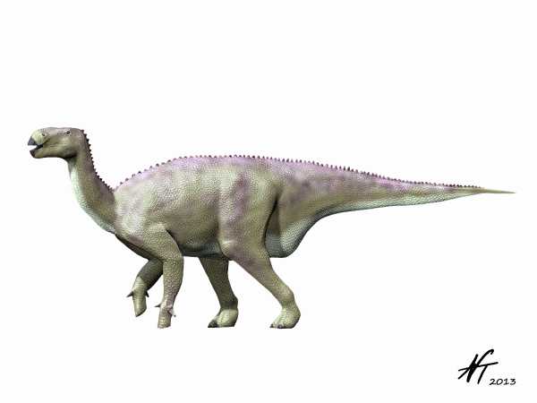 Iguanodon bernissartensis Iguanodon_new_NT