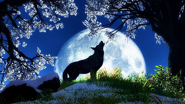 Pensieri, Sentimenti, Poesie e Riflessioni.... - Pagina 12 Wolf-moon-105583