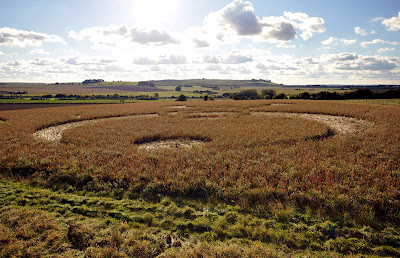 Crop Circle  - Página 15 CCC-Windmill-Hill-%282%29-1819-