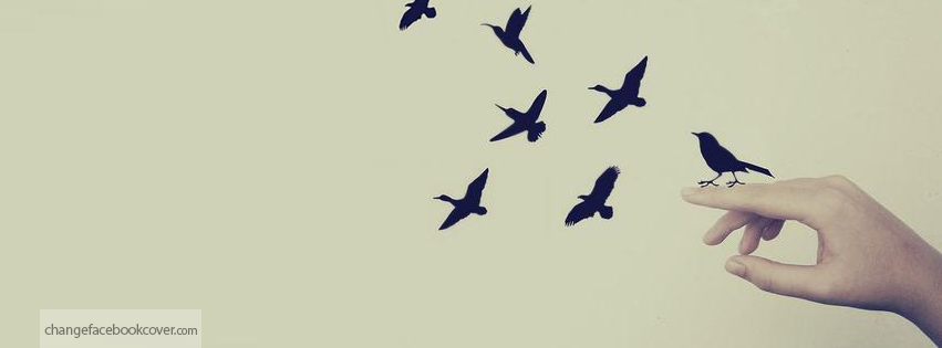 توقيتك مناسب Facebook-cover-creative-flying-birds-hands-background