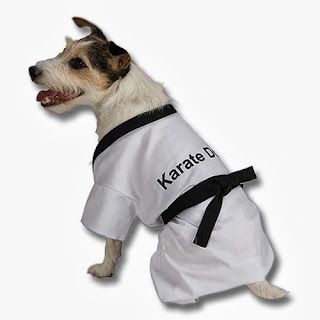 Ο σκύλος που ήξερε καράτε !!! Karate-dog