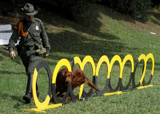 Colombia  - Página 17 PONAL1