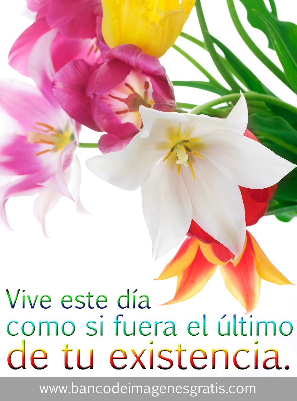 DOMINGO 2 DE DICIEMBRE  DE 2012. POR FAVOR DEJEN SUS MJES. DIARIOS AQUÍ. GRACIAS!! Mensajes-positivos-vive-este-dia-como-si-fuera-el-ultimo-de-tu-existencia