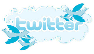نصائح وارشادات لزيادة عدد المتابعين لك في موقع تويتر Twitter Twitter12