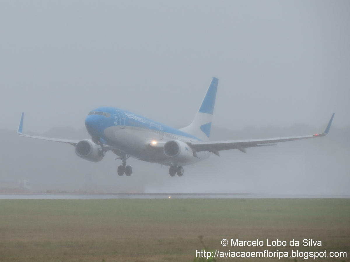 Spotting sous beaucoup de pluie! IMG_2503