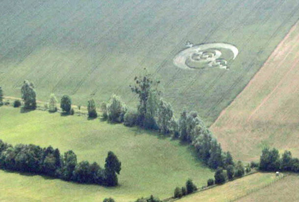 Crop Circle  - Página 31 Salez2