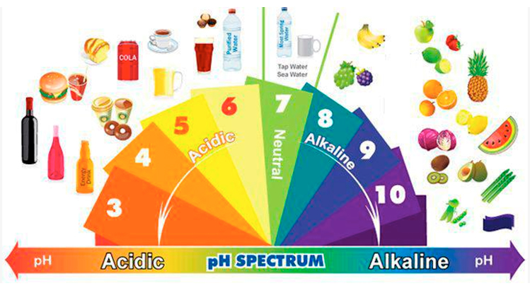 el hilo de la medicina natural (no a los fármacos sintéticos) Ph