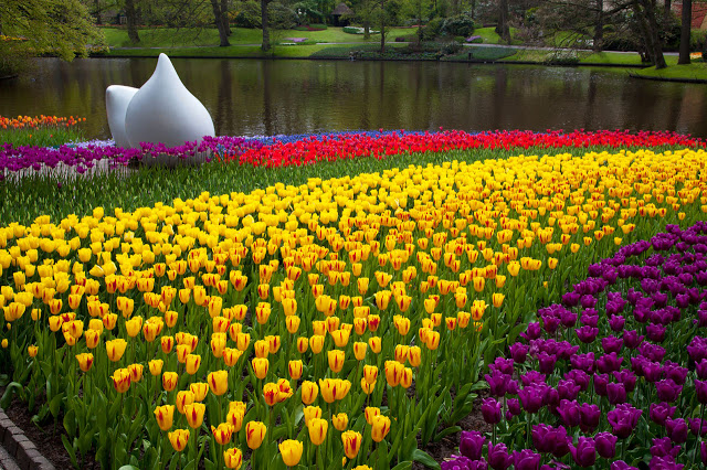  الى كل من يعشق الزهور  Keukenhof-park-11276851072jiaW