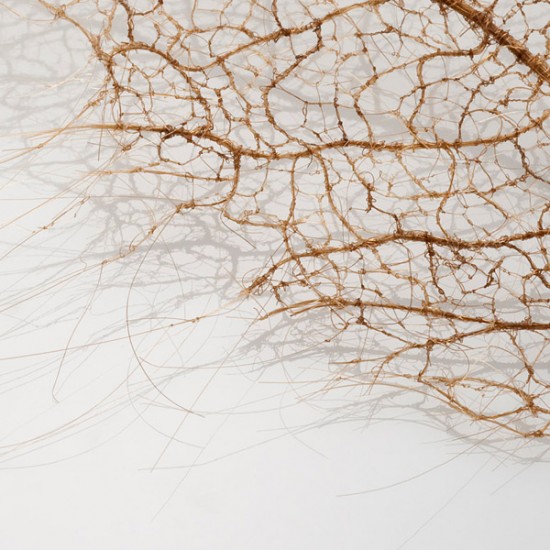 لوحات فنية لأوراق الشجر وبعض الأعمال الفنية من شعر  Human-hair-leaves5-550x550