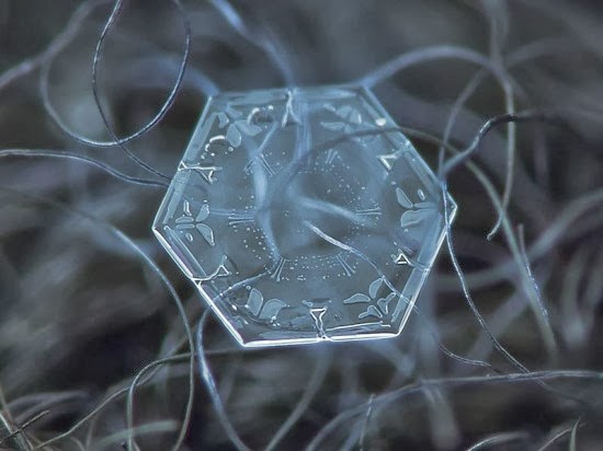 مصور روسي يكشف عن جمال فريد لرقاقات الثلج  Snowflake-closeup8-550x412