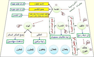 شرح نحو رائع بطريقة الخرائط الذهنية 11822844_400124256864753_2924804335947142873_n