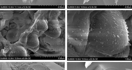 Funcionario afirma que, una agencía espacial intentó robar evidenia de vida extraterrestre... Anuradhapura-meteorite-samples-ftr