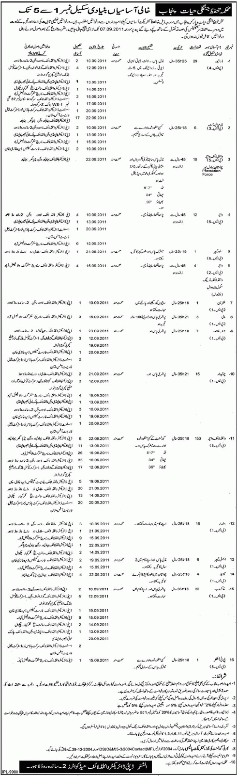 Punjab Govt Forestry Jobs 07_19