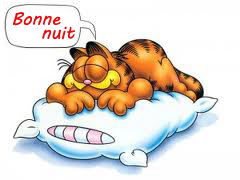 un pti bonsoir ou bonne nuit c'est ici !!! - Page 6 Bonne-nuit