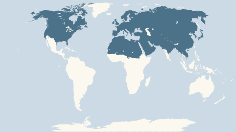 الثعلب الأحمر Red_fox_map