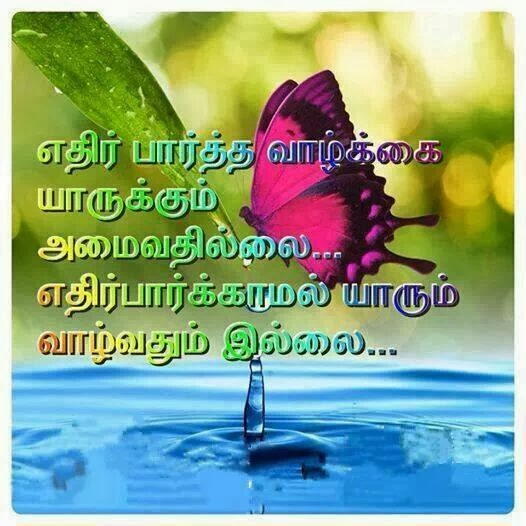 நண்பன் படித்ததில் பிடித்தது... - Page 10 1982004_617895218283415_40403532_n