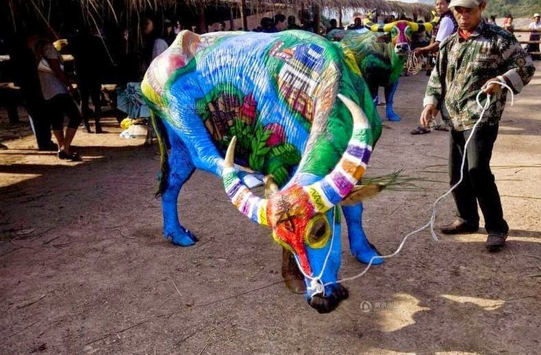 Buffalo Bodypainting Competition in China Buffalo-bodypainting-china-7