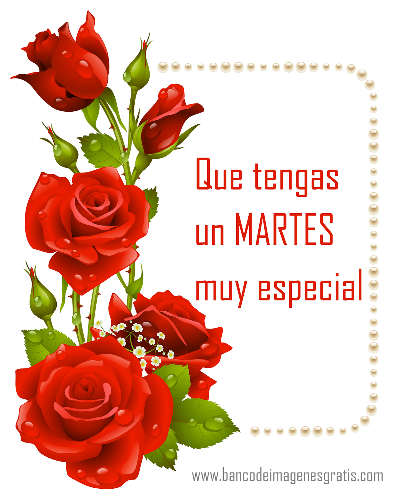 MARTES 15 DE SEPTIEMBRE DE 2015 - Por favor pasen sus datos, pálpitos y comentarios de quiniela AQUÍ para hacerlo más ágil. Gracias.♣ - Página 2 Postal-con-mensaje-de-feliz-martes-rosas-d%C3%ADas-de-la-semana-para-compartir-3