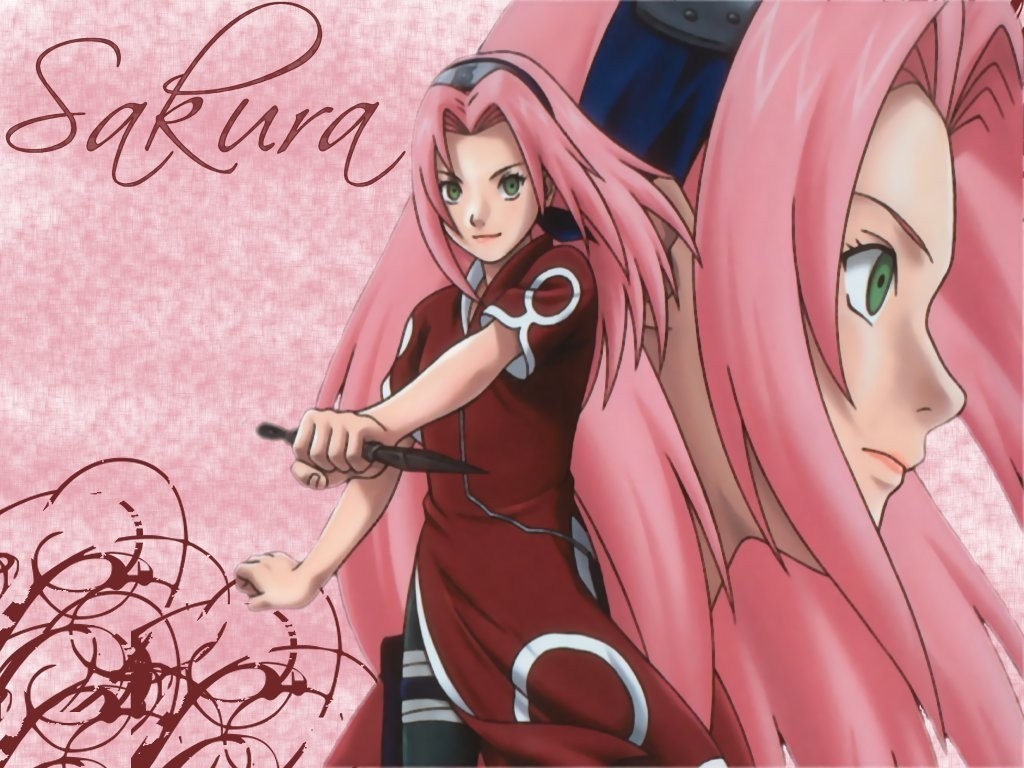 Conte até 100 com Imagens - Acerte o Objetivo - 2ª Edição Cute-Sakura-haruno-sakura-5956346-1024-768