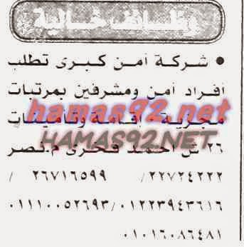 وظائف خالية من جريدة الاخبار الثلاثاء 11-11-2014 %D8%A7%D9%84%D8%A7%D8%AE%D8%A8%D8%A7%D8%B1%2B3