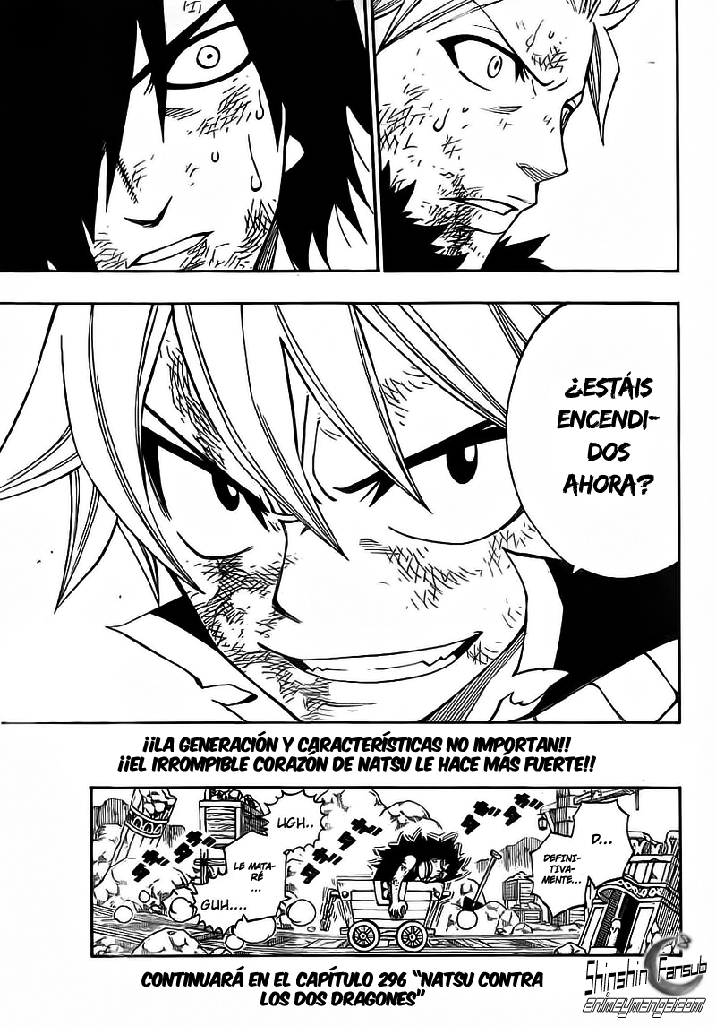 Fairy Tail Capitulo 295 28