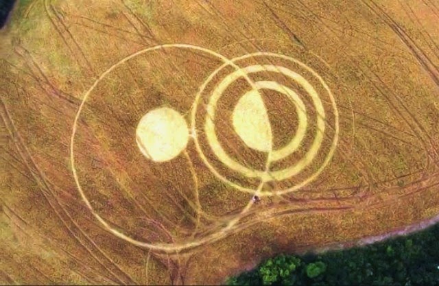  Crops circles - 2015 Crop3