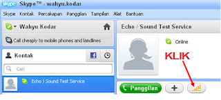 Mengulas 1 buah software Terbaru,  Skype-12