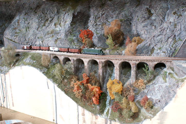 le Gothard en N, cela avance!!! - Page 5 Arbres_biaschina1